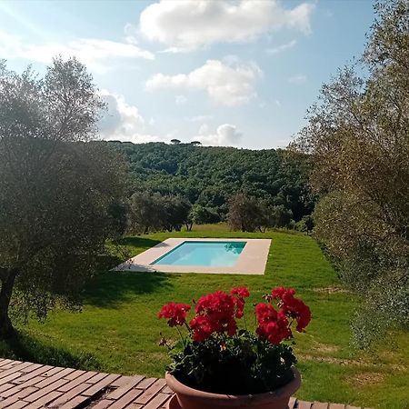 Podere Lucignano Secondo Agriturismo 카이오레인챠안티 외부 사진