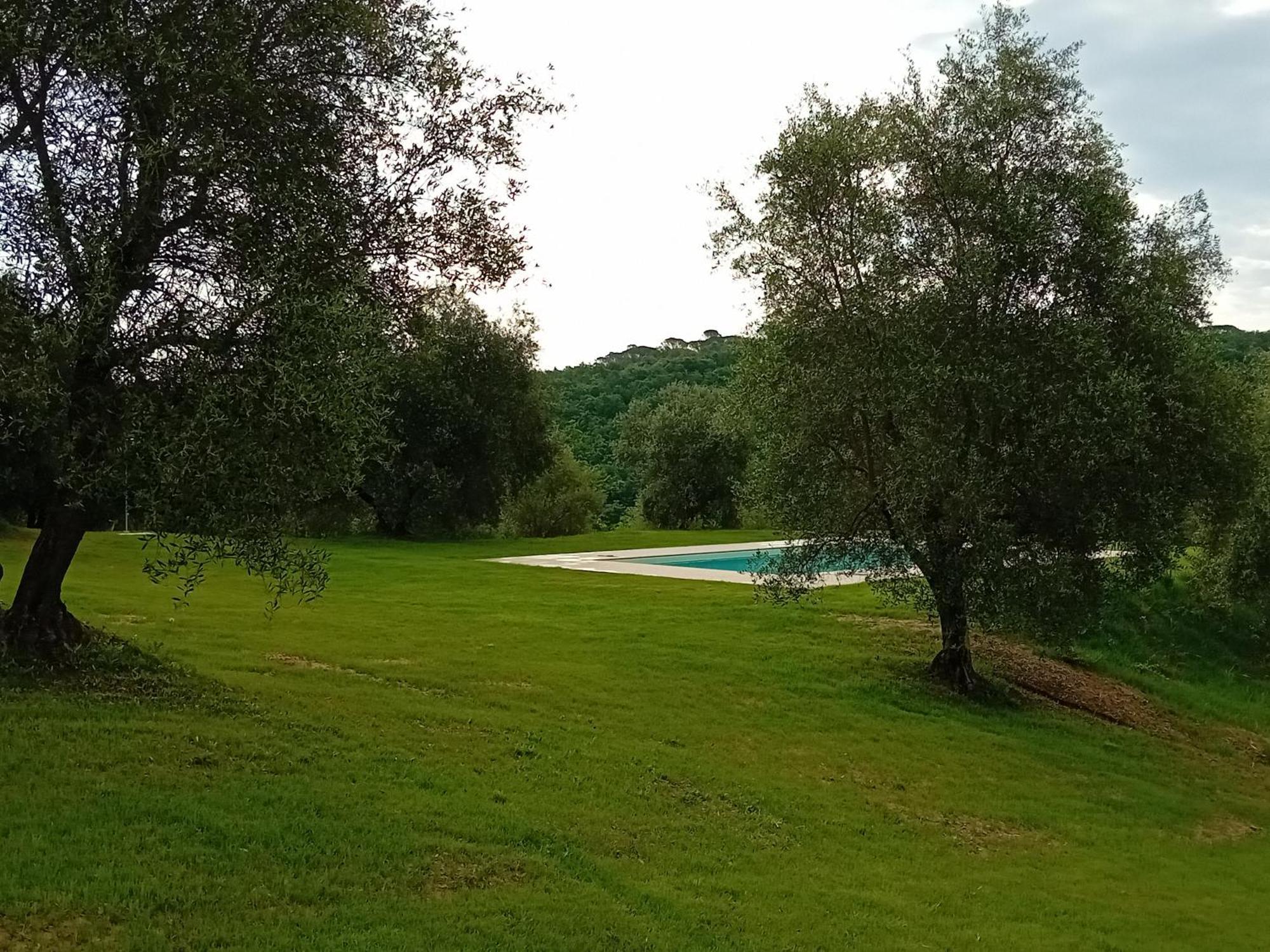 Podere Lucignano Secondo Agriturismo 카이오레인챠안티 외부 사진